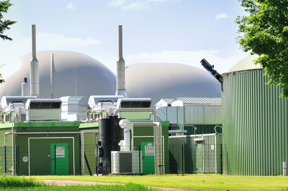 thumbnails VISION 2030 - building a sustainable Southern African Biogas Market